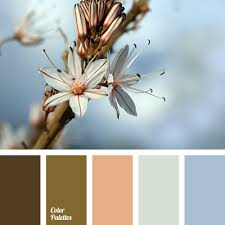 Check spelling or type a new query. Dark Coffee Color Color Palette Ideas