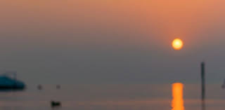 This can happen because the treatment didn't destroy all the cancer cells. Patient Stories Surviving Cancer Stanford Medicine