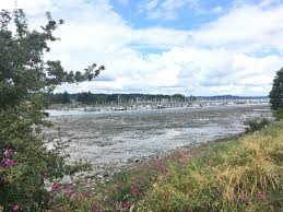 Thrifty Thurston Takes A Walk During Super Low Tide