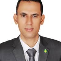 PDF) Die Deutsche Hermopolis-Expedition im Licht aktueller Forschung