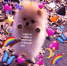 I Love You Memes 100 Coolest Memes Funniest Of 2020 Latest