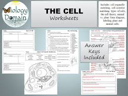 Sign up and get access to hundreds of high quality. The Cell Worksheets Teaching Resources