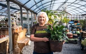 This plant is flexible in terms of lighting and will tolerate low lighting conditions. The 10 Air Purifying Indoor Plants That Are Easiest To Keep Alive