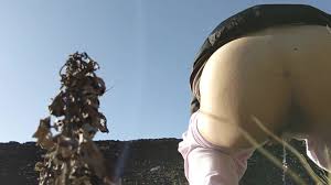 【盗撮風】日本人女性の野外放尿。