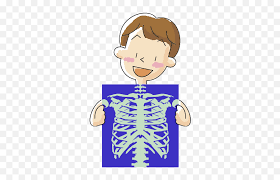 We did not find results for: Xray Heart Transparent Png Clipart X Ray Clipart Emoji X Ray Emoji Free Transparent Emoji Emojipng Com