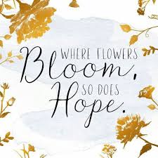 Where flowers bloom so does hope. Where Flowers Bloom So Does Hope Hand Lettering Instagram Posts Lettering