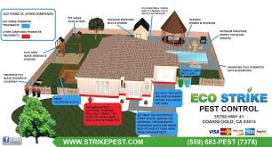 100% proven effective proven safe & fast result. Pest Control Company In Coarsegold Ca