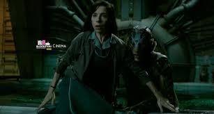 Il modo in cui la trama riflette ciò che è successo nelle nostre strade e nel resto del mondo ha aggiunto. La Forma Dell Acqua The Shape Of Water La Recensione