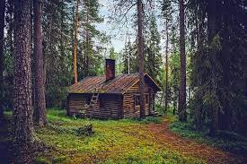 Simply choosing fun house names can be fun and exciting? 50 Best Cabin Names You Won T Want To Hideaway By Kidadl