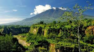 Hal ini lah yang membuat pengunjung tidak merasa rugi untuk membayar harga tiket tersebut. Panorama Yang Sangat Memukau Ulasan Ngarai Sianok Bukittinggi Indonesia Tripadvisor
