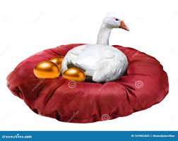 Vancouver Deals With Its Invasive Canada Goose Problem One Egg At A Time -  The Globe And Mail