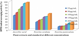 Image result for Swertia kilimandscharica