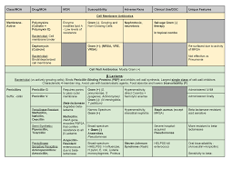 antibiotics chart modu 8102 disease and defense studocu