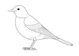 Join learners like you already enrolled. How To Draw A Bird Step By Step Side View Easydrawingtips