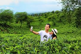 Tempat wisata keluarga bernuansa alam dapat kamu temukan di kebun teh wonosari atau disebut juga kebun teh lawang. Kebun Teh Wonosari Dan Bukit Kuneer Explore Malang Wisata Alam Yang Menyegarkan Mata Joshua Favian Blog