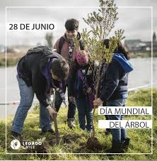 Día mundial del síndrome de down. Dia Del Arbol Fundacion Legado Chile