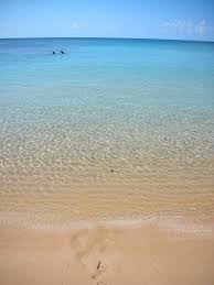 Bioluminescent Beach Puerto Rico Fajardo Things To Do In Fajardo Puerto Rico Beach Thursday Photo Essay Puerto Rico Trip Puerto Rico Vacation Enchantment Of The Seas
