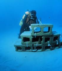 Check spelling or type a new query. Artificial Reef Wikipedia