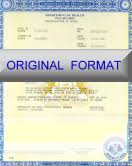 I need to optimize stripe payments for courses. á… Fake Birth Certificates And Birth Record Replacement
