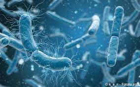 Detection of salmonella was performed testing both 25 and 50g of the samples. Salmonellenvergiftung Salmonelleninfektion Meine Gesundheit