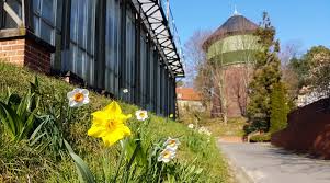 The berlin zoological garden (german: Fruhlings Spaziergang Durch Den Botanischen Garten Berlin Fur Zuhause Stadt Blatt Verlag