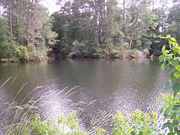 One of the best things to do in houston is a macabre museum with a massive graveyard bus. 12 Best Houston Area Swimming Holes Texas Wanderers