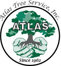 We did not find results for: Tree Services Concord California Atlas Tree Care
