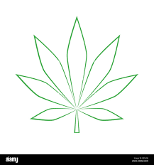Green Cannabis Leaf Simple Drawing Vector Illustration Eps10 Stock Vector  Image & Art - Alamy
