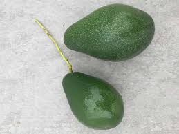 Wann ist eine avocado reif? Wann Ist Eine Avocado Verzehrfertig Casa Aguacate