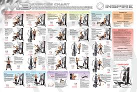 60 Uncommon Gym Work Out Chart