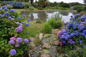 Er ist in privatbesitz, aber bleibt für die öffentlichkeit zugänglich. Jardin De La Source Bleue Picture Of Parc Botanique De Haute Bretagne Le Chatellier Tripadvisor