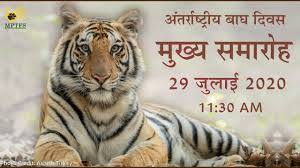 History of international tiger day. International Tiger Day 2020 Live Event Youtube