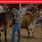 2026 Allen County Fair