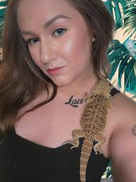 What is the full-grown size of Citrus leatherback beardies?