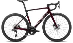 Image result for Orbea maculata