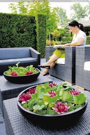 Kleiner Wasser Garten Garten Hgtv Kleiner Wasser Indoor Water Garden Small Water Gardens Small Space Gardening