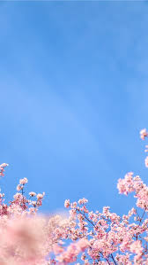 Spring Iphone Hd Wallpapers Ilikewallpaper Find the best 3d iphone wallpapers, iphone 5, 6, 7, 8, x, xs, xr backgrounds and many other favorite images for phones in 2021. spring iphone hd wallpapers