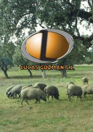 Argentinian graphic designer working for several clients in different fields of design. Calameo Catalogo Lucas Guzman S L