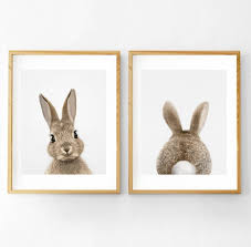 Set Of 2 Bunny Prints Printable Wall Art Baby Room Art Decor Printable Poster Rabbit Wall A Rabbit Wall Art Woodland Nursery Wall Art Nursery Animal Prints