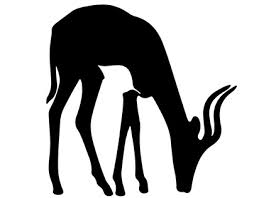 We did not find results for: Joannah Bwomezi On Behance