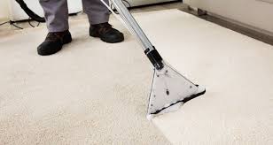 How old is a baby on average when it starts to crawl? Professional Carpet Cleaning Costs