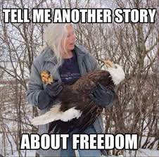 Because Murica That S Why 30 Pics Funny Pictures Funny Make Me Laugh
