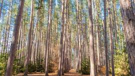 Eco-Book Club & Hike @ the Cumming Nature Center!