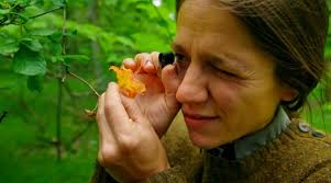 With the Beat of a Butterfly's Wings — Mary Baldwin University