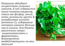 Maybe you would like to learn more about one of these? Parsley Baik Dan Buruk