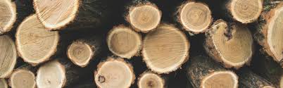 Other evergreen trees can be pruned after the new growth emerges if it's needed. Delimbing Sectioning And Bucking Oleomac