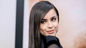 After failing to make it on broadway, april returns to her hometown and reluctantly begins training a misfit group of young dancers for a competition. Sofia Carson To Topline Netflix Family Film Feel The Beat Deadline