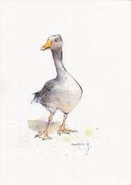 Sassy Goose Daily Bird 35 Original Pen Ink Drawing Etsy Drawings Ink Pen Drawings Ink Drawing