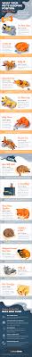 Your Pet S Body Language Can Tell You A Lot You Understand By A Wagging Tail Or Raised Hackles That Your Pet Is Dog Sleeping Positions Sleeping Dogs Mean Cat