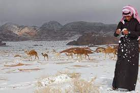 Maybe you would like to learn more about one of these? Saudi Arabia S North West Desert Covered In Snow After Unusual Winter Storm Abc News